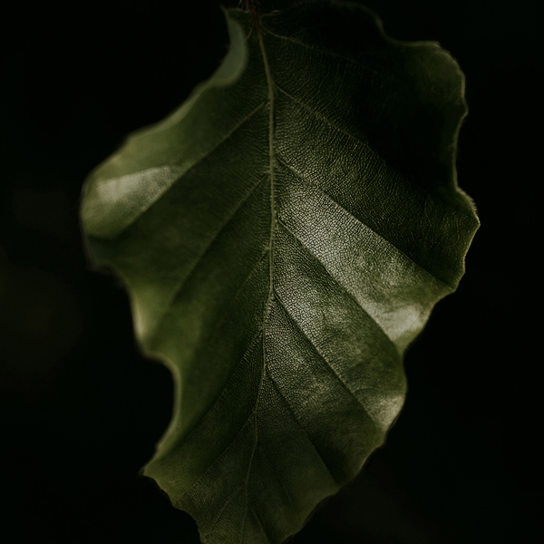 Responsibility | Conscious Energy Consumption
